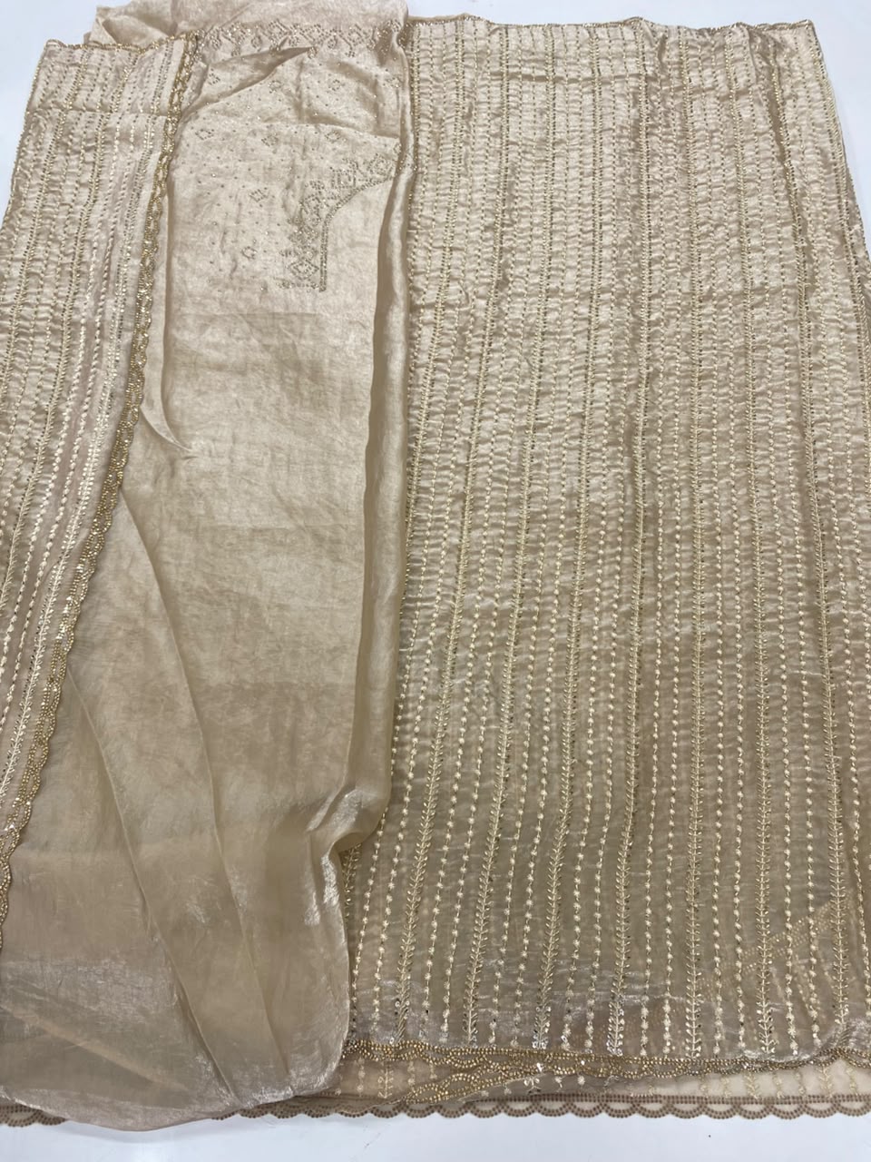 Fancy Work Saree (3454-R)